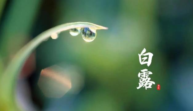 白露时节，洛阳养老院老年人应该注意什么